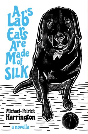 A Lab's Ears Are Made of SILK (2025)